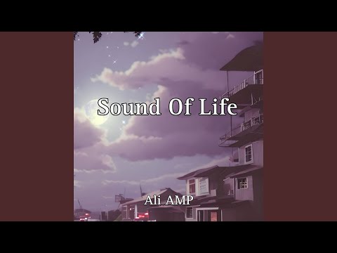 Sound Of Life