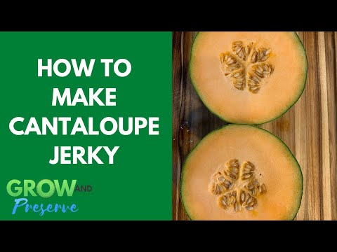 How to Make Cantaloupe Jerky. The Perfect After School Snack