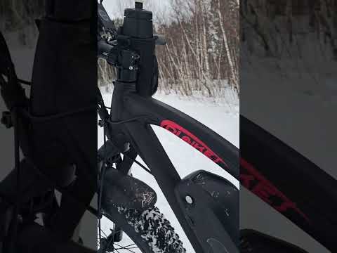 DJ Bikes E FatBike Review