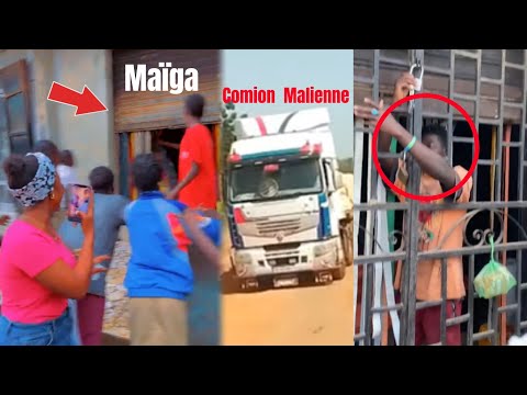 🔴 Things are heating up, Maiga Malian! After the Senegal vs. Mali match 🇸🇳 🇲🇱 Malian truck sheep ...