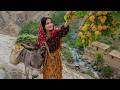 Traditional Cooking Donkey Riding By A Beautiful Girl Village Lifestyle Iran