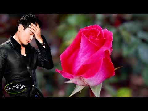 Nụ Hồng Mong Manh - Lâm Nhật Tiến [MV Lyrics]