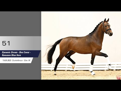 51 Hengst v Dynamic Dream - Bon Coeur
