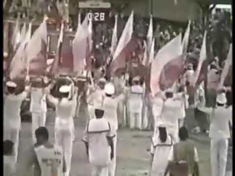 SALGUEIRO 1993 - "Peguei um Ita no Norte"