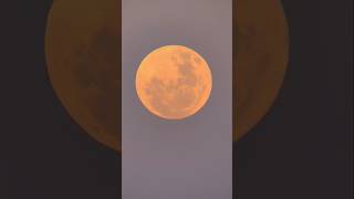 Não me canso de admirar 🌕🔭 Lua cheia