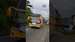 Download lagu KLAKSON BASURI V4...‼️ mp3 Download lagu KLAKSON BASURI V4...‼️ mp3