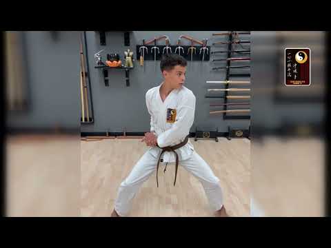 Naihanchi 2 – Mr. Hunnicutt, Ikkyu