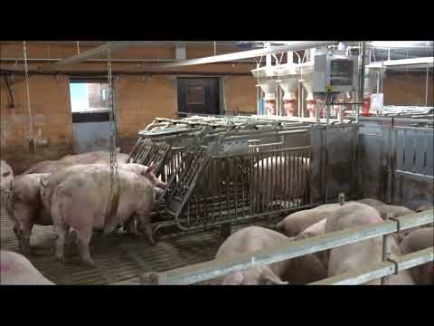 WEDA Opti.Station - Die neue Form der Abruffütterung