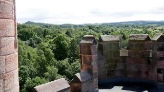 Wedding Video