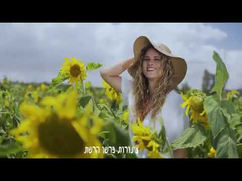 צבריות   הורה ממטרה   Tzabariot   Hora Mamtera -- Russian subtitles