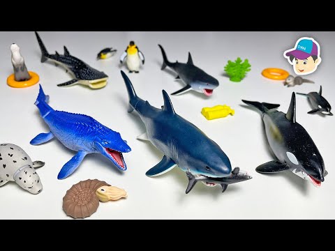 8 Amazing Sea Animals - Shark, Whale Shark, Orca, Megalodon, Mosasaurus Takara Tomy Ania