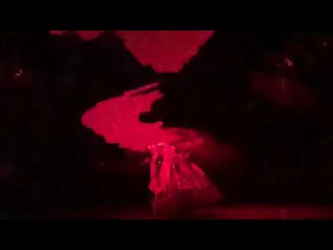 Draußen ist Freiheit (Reprise) - Daniel Eckert & Abla Alaoui