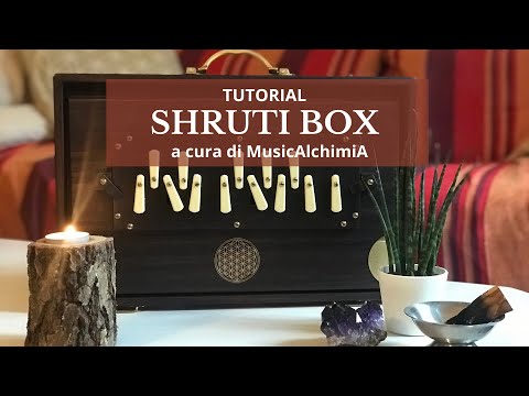 Shruti Box  _  Andrea Tosi