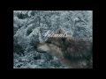 Twilight Wolves Animals Marron 5