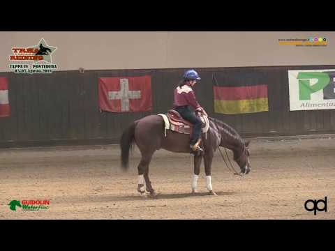 Snafflebit e 4 tappa TRHA 2018 - COPPOLA GINEVRA sul suo SNAPOLEONE con score 69,5