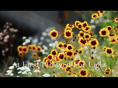 488 SDA Hymn - At First I Prayed For Light (Singing w/ Lyrics)