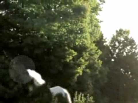 Rumoured Unicorn Sighting Reported In Don Valley