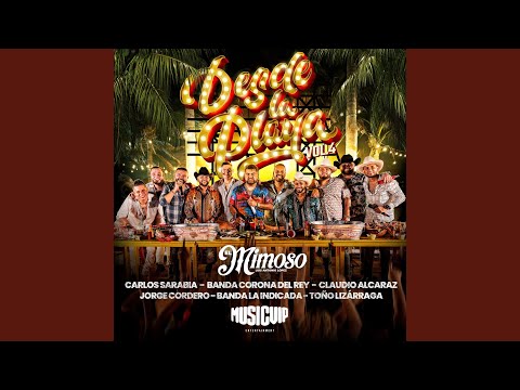 Desde La Playa, Vol. 4 (En Vivo)