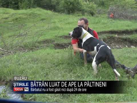 BATRAN LUAT DE APA LA PALTINENI