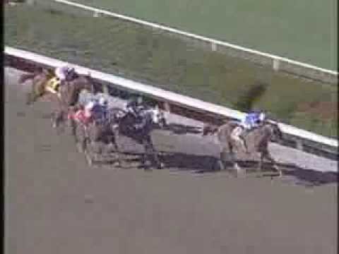 TOTAL IMPACT - 2004 Hollywood Gold Cup (G1, 2000m)
