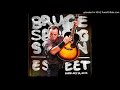 Bruce Springsteen--Local Hero (Leeds, UK, 2013)