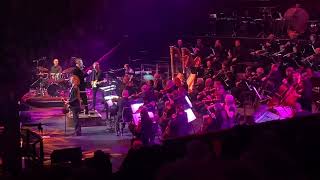 Beck -Paper Tiger 20.4.25 Royal Albert Hall London