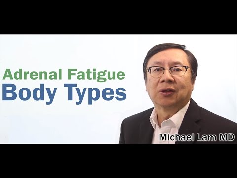 Adrenal Fatigue and Body Types