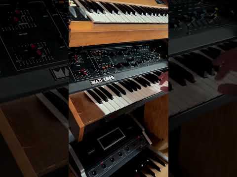 Korg Dv800 '70 - Wood image 5