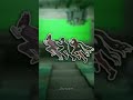 Shuichi Maki And Kaito Edit School Au Meme Danganronpa V3 Alight Motion