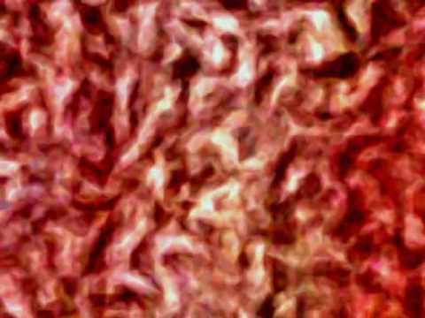 Deep Thoughts of The Snail - Hluboké zamyšlení Šnekovo