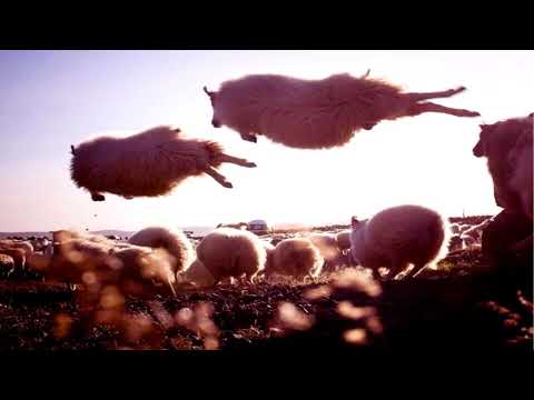 Orbital - Belfast (Ben Archbold Remix) [2009]