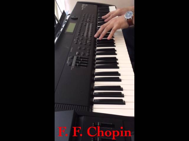 Vídeo relacionado con Compositores clásicos, Música clásica, Notas musicales Sudadera con Capucha