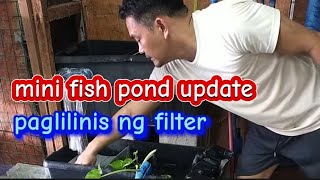 MINI FISH POND UPDATE