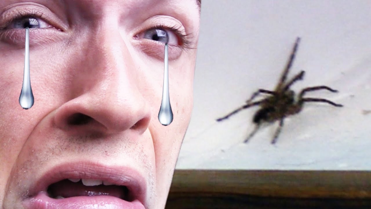 AGRESSÉ EN PLEINE VIDÉO ;_; thumbnail