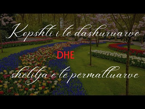 Kopshti i të dashuruarve dhe shëtittja e të përmalluarve!