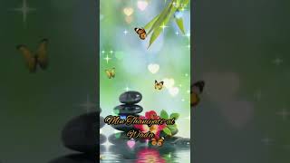 Download lagu Xadidja Tala Al Badru Alyna status/Latest Naat 2021 mp3