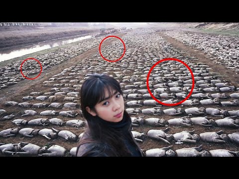 This is why Mongolians cannot inhabit 99.7% of their territory