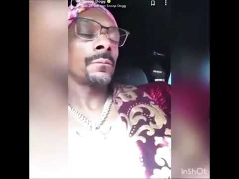 Snoop Dogg sunela i gili Taro Šaban Šaulic  uzivinela dok Sunela