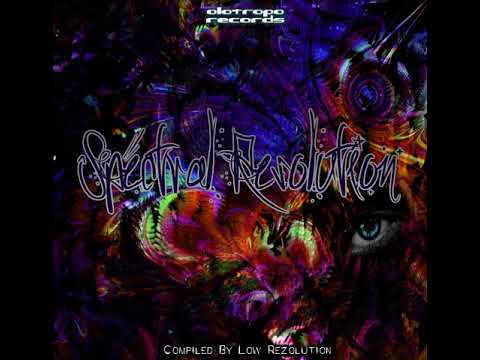 11 Psydrahcir - Kauzen