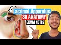 lacrimal apparatus anatomy 3d | anatomy of lacrimal apparatus | lacrimal gland anatomy