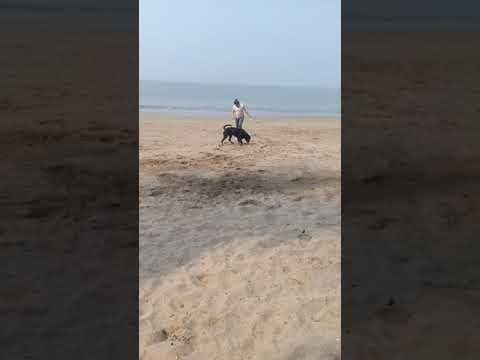 Sea excursion of Max!!!