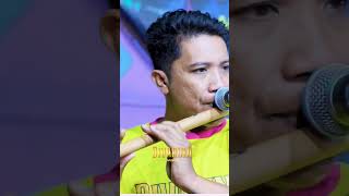 Download lagu Laila ayu - tinta merah terbaru #trendingshorts #dangdut #trending #lailaayu #divarinamusic mp3