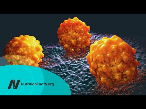 Breast Cancer Survival Vegetable