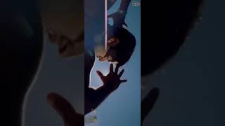 Download lagu Vaseegara Minnale Whatsapp Status 4K UltraHD Video mp3 Download lagu Vaseegara Minnale Whatsapp Status 4K UltraHD Video mp3