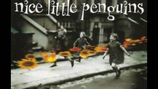 Nice Little Penguins - Daydream Believer