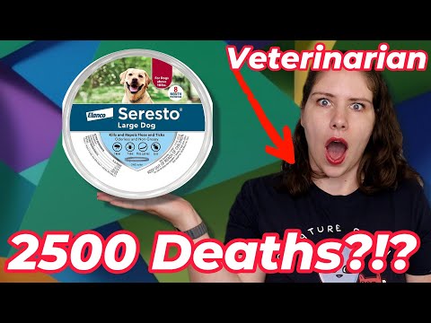 Seresto Collars - Should You Stop Using Them? What About Counterfeits? | A Veterinarian Explains