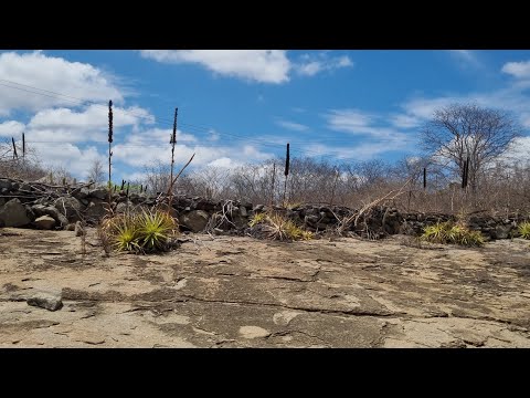 Viajando pelas ribanceiras de Itapetim PE em 06-12-25