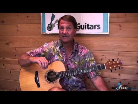 Powderfinger  - Guitar Lesson Preview