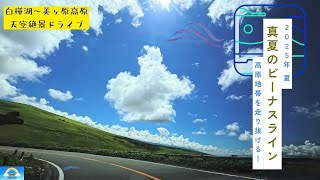 [Nagano Prefecture] Run through the Venus Line in midsummer!
