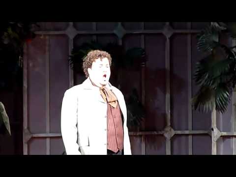 Stefan Pop - La Traviata: O mio rimorso - Bucharest 2011